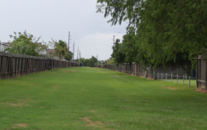 Greenbelt Park